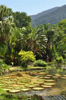 Jardim Botânico do Rio de Janeiro: A Lush Tropical Oasis and Biodiversity Hotspot!