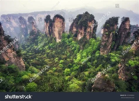 Yuanjiajie Scenic Area: A Surreal Wonderland Carved by Nature's Hand!