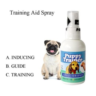 Does Potty Training Spray Work?