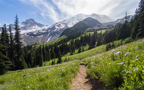  Islington Ridge: A Scenic Hike and Wildlife Wonderland!