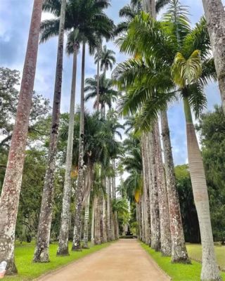 Jardim Botânico do Rio de Janeiro: A Lush Oasis Hiding in Plain Sight!